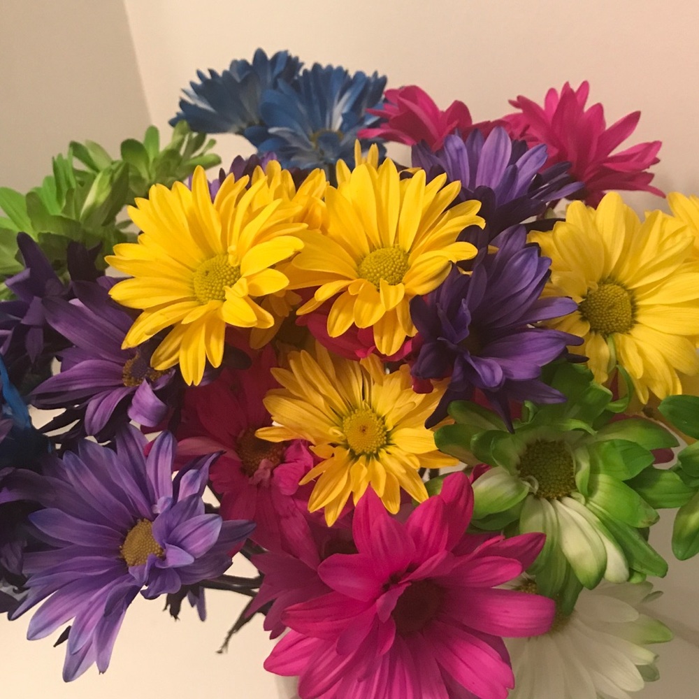 Meet your Posher, Elle